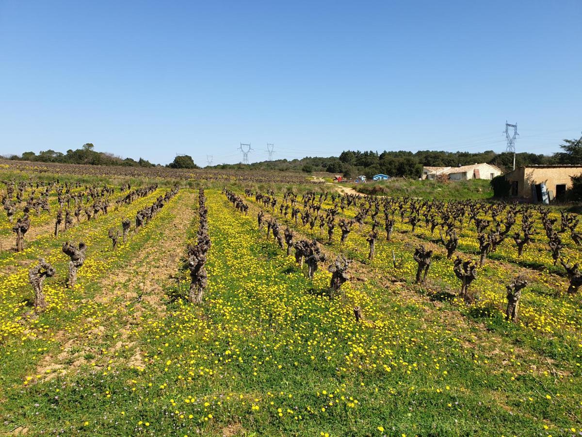 Le Clos Soleilhan Saint-Gervais  Kültér fotó