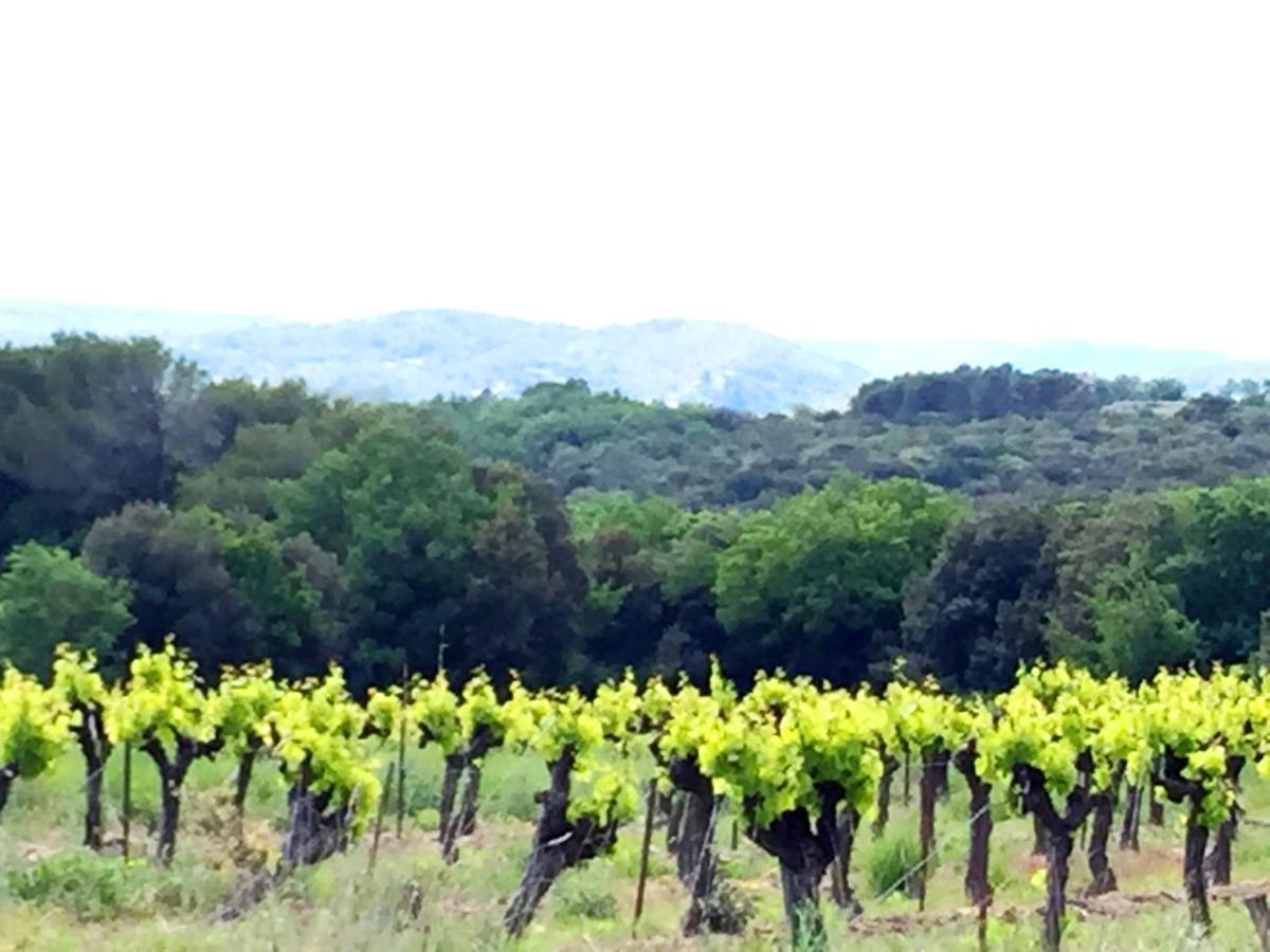 Le Clos Soleilhan Saint-Gervais  Kültér fotó